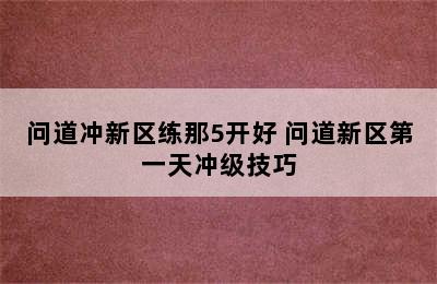 问道冲新区练那5开好 问道新区第一天冲级技巧